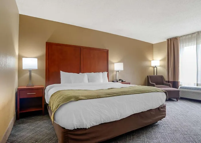 Comfort Inn University Area