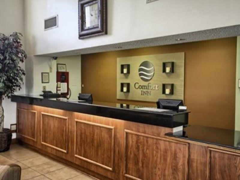 Comfort Area Inn