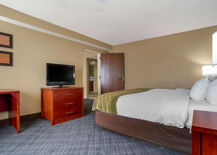 Comfort Inn University Area